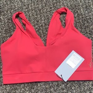 Whitney Simmons sports bra
